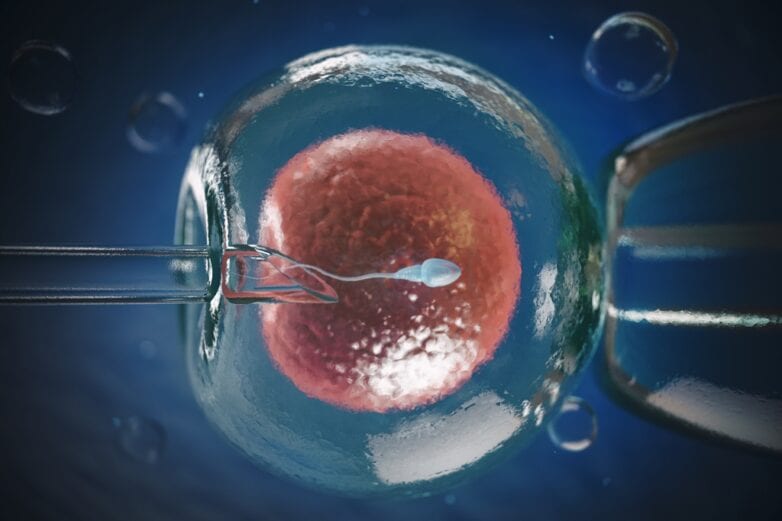 Embriões De Fertilização In Vitro Devem Ser Descartados Após Divórcio, Decide TJDFT